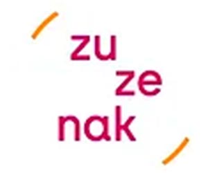 logo-zuzenak