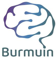 6Burmuin